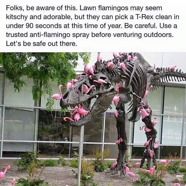 Flamingos v T Rex.jpg