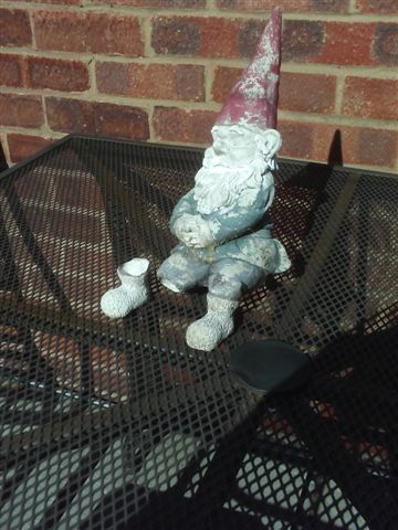gnome.jpg