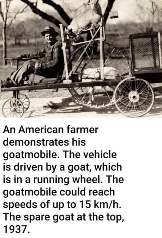 Goatmobile.jpg