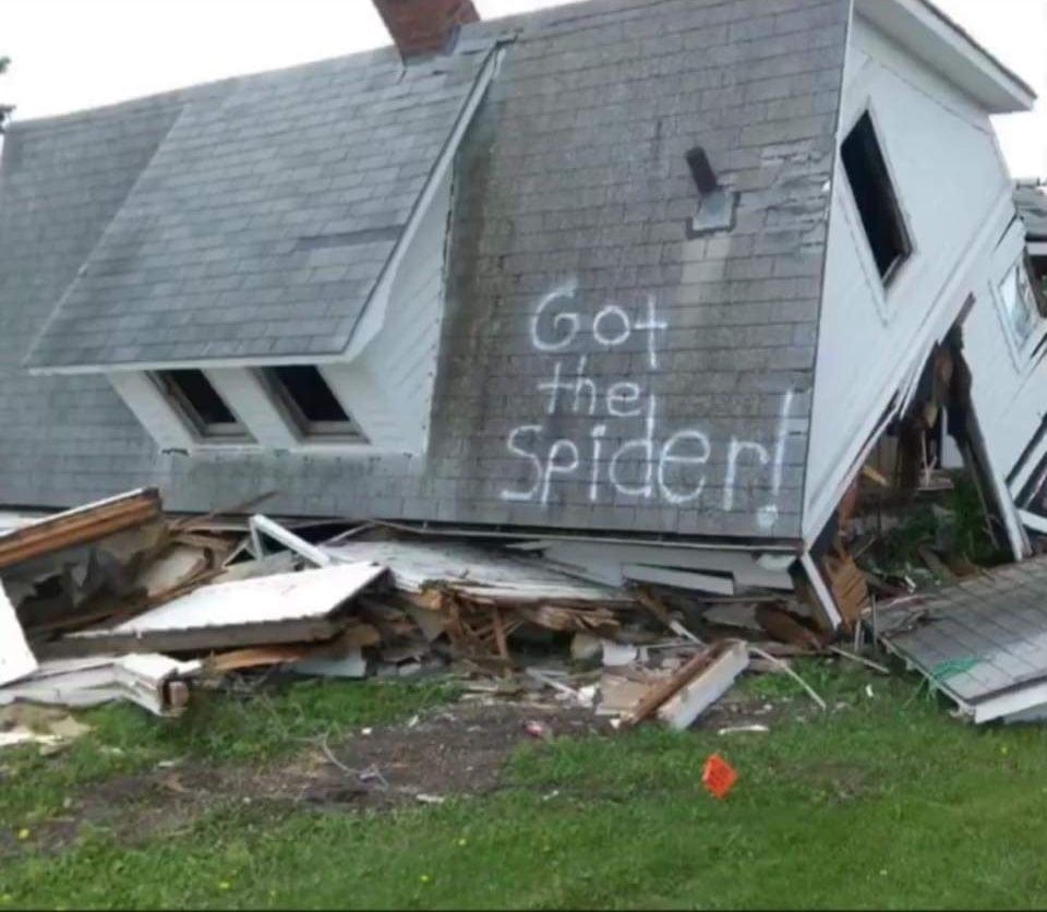 Got the spider.jpg