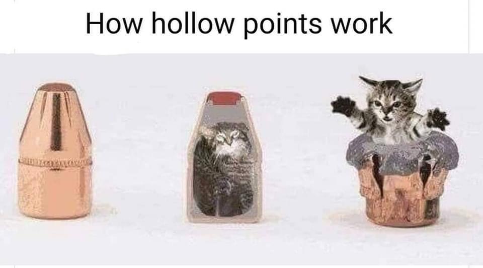 hollow-points.jpg