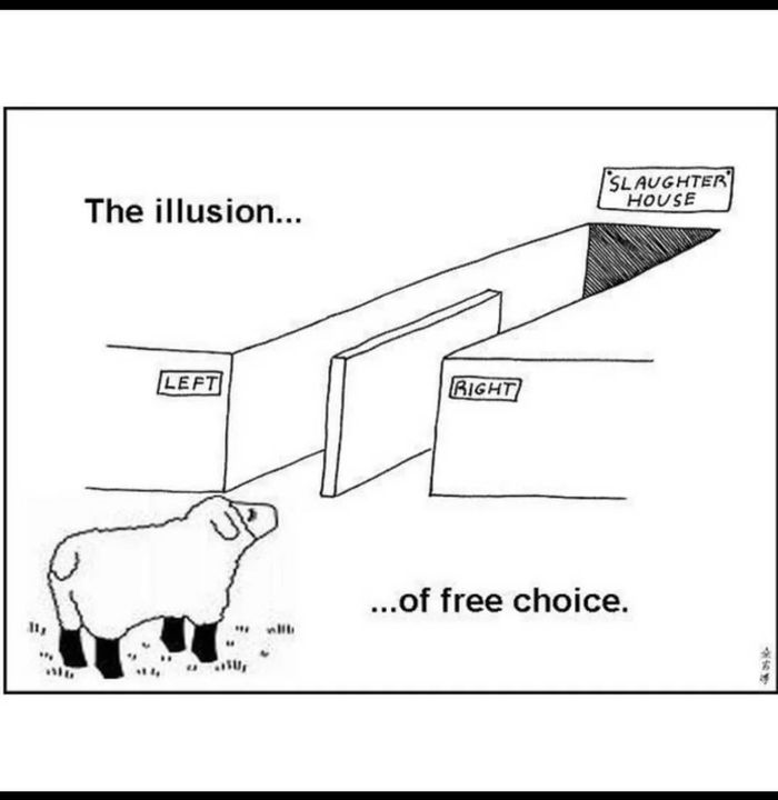 illusion of free choice.jpg