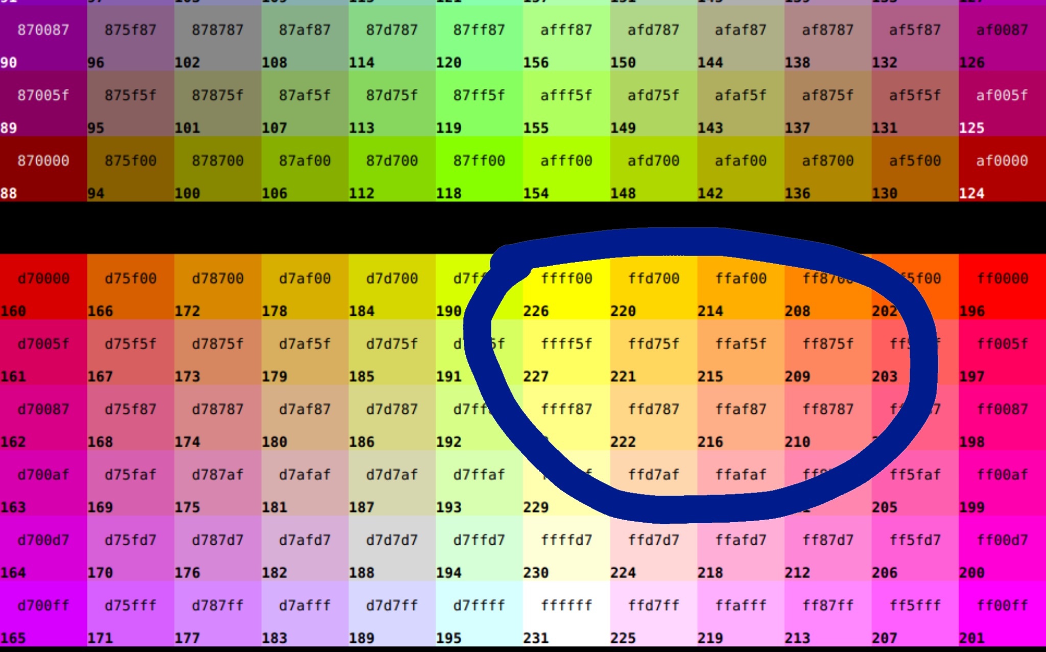 image.jpg