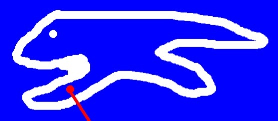 image.jpg