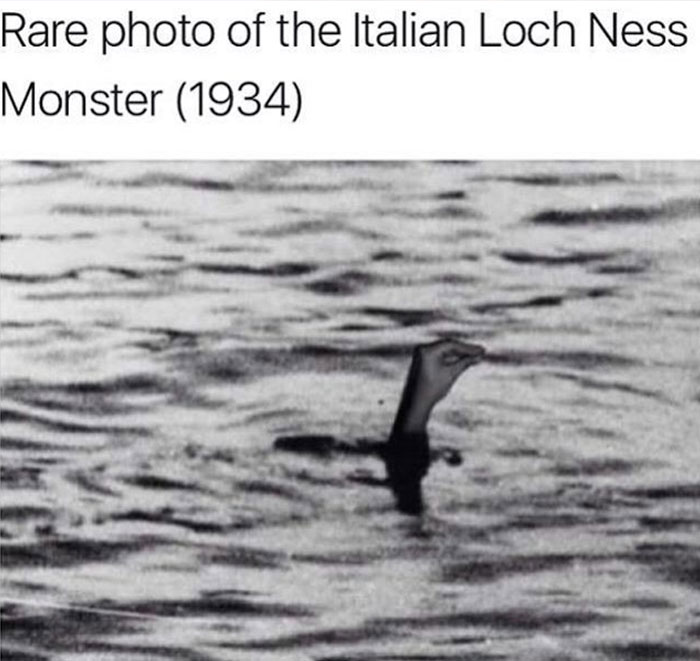 Jokes-About-Italians-108-5977464b274df__700.jpg