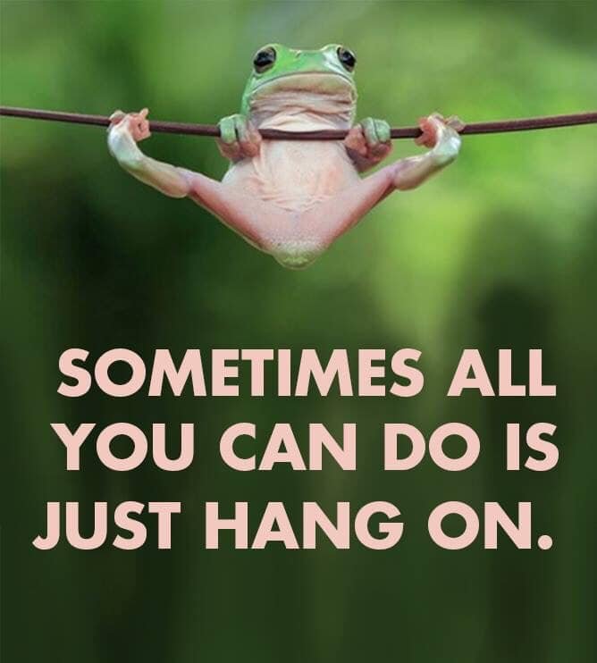Just hang on.jpg