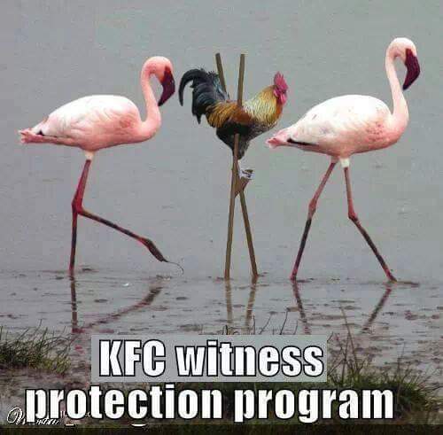 KFC witness protection.jpg