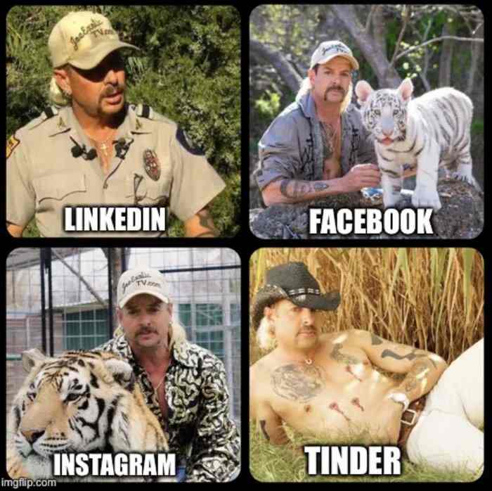 l-56521-linkedin-facebook-instagram-tinder.jpg