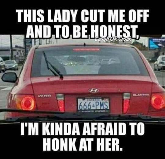 Lady cut me off.jpg