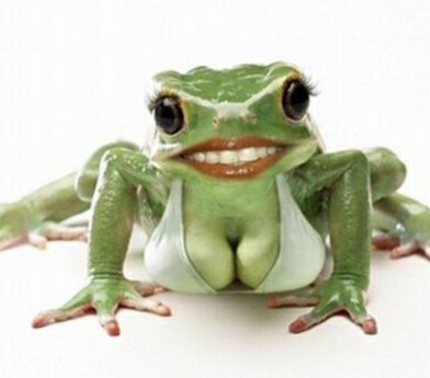 Lady Frog.jpg