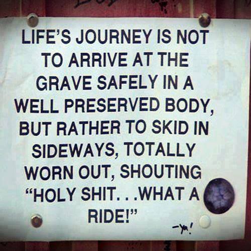 life.jpg