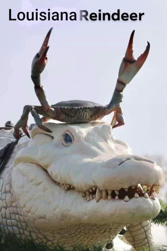 Louisiana Reindeer.jpg