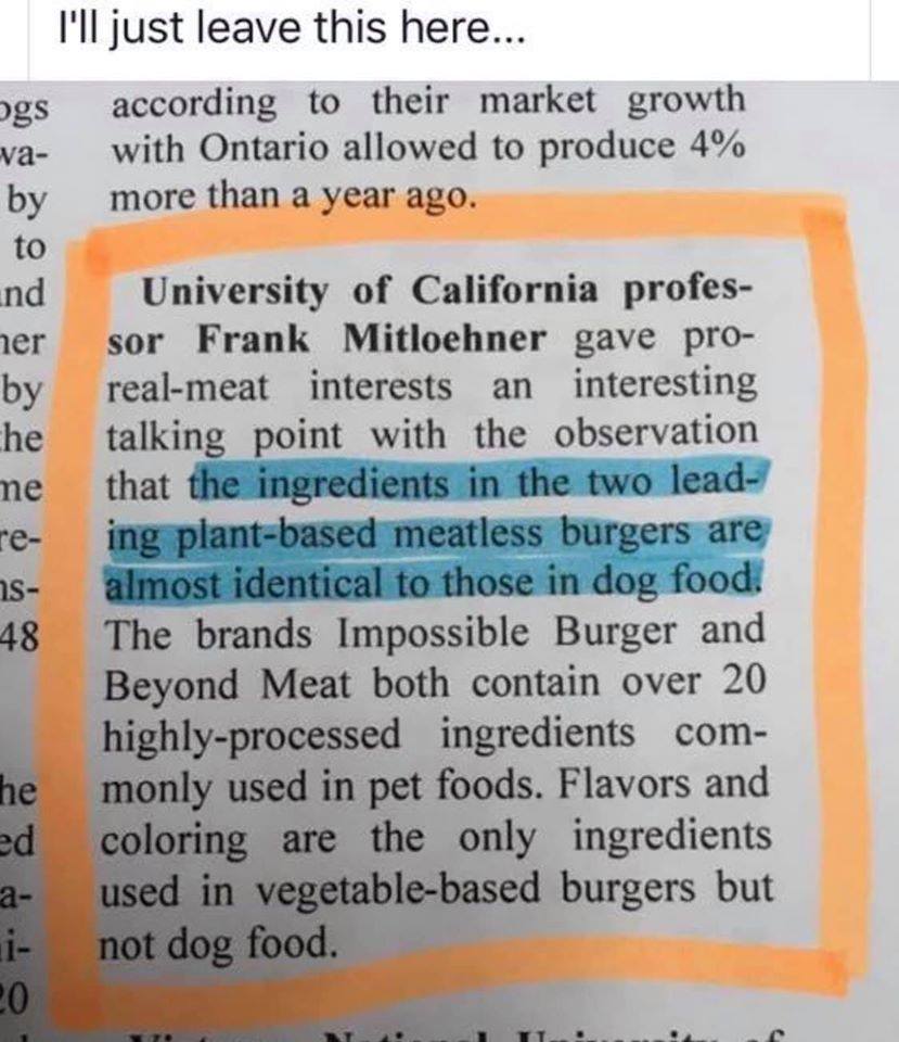Meatless burgers.jpg