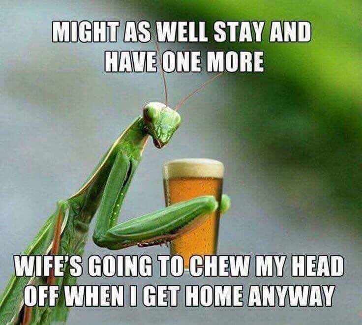 might-as-well-stay-and-have-one-more.jpg