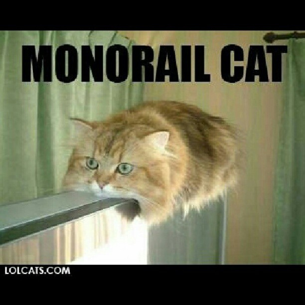 Monorail_Cat.jpg