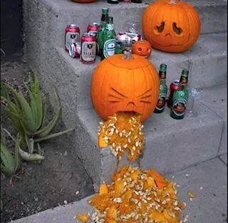 morning after.jpg