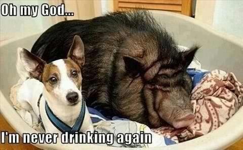 Never drinking again.jpg