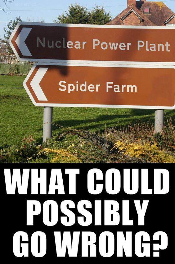 Nuclear spiders.jpg