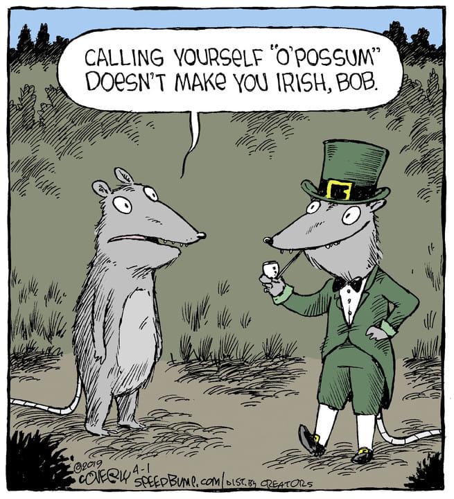 o possum.jpg