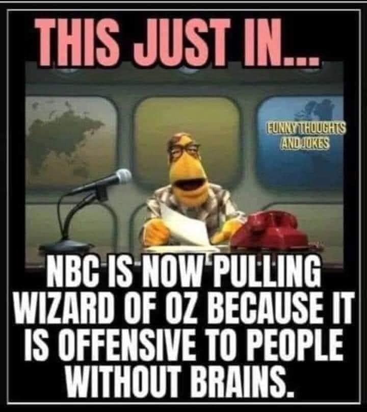 Offensive to people without brains.jpg