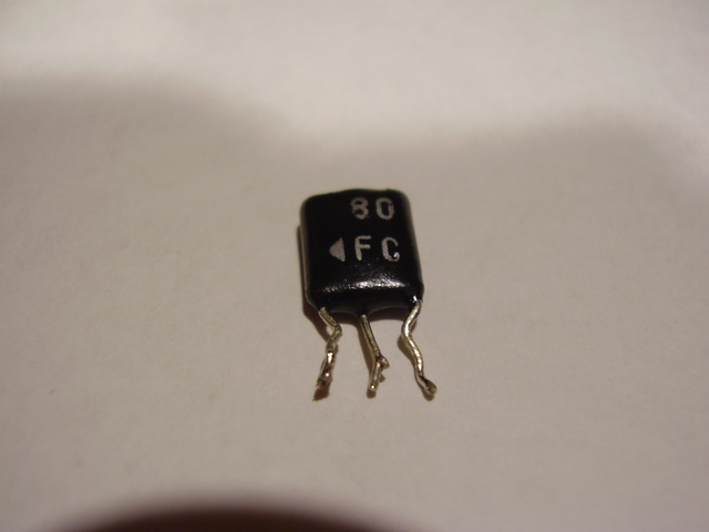 P6210005_1.JPG