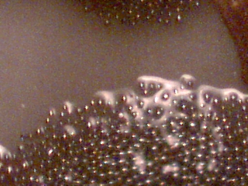 paste_200x-jpg.24999