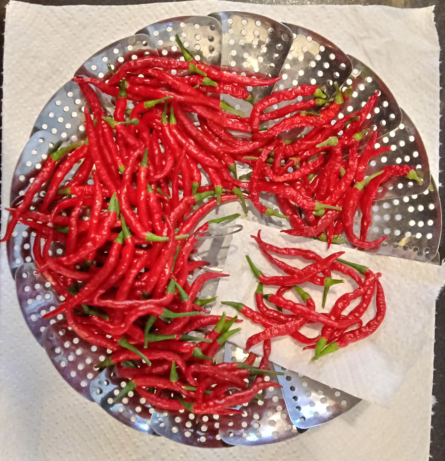 peppers201920191010_101827_HDR.jpg