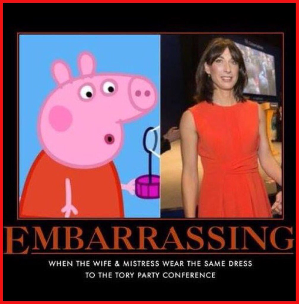 pig.jpg