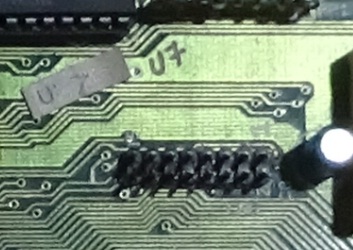 pins.jpg