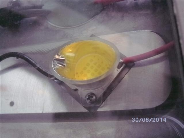 SANY6876.JPG