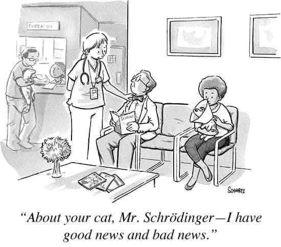 Shrodingers cat.jpg