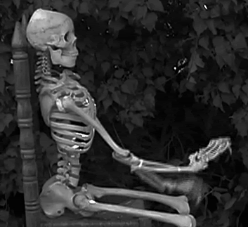 skeleton.gif