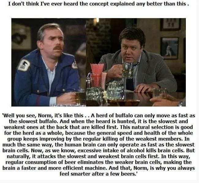 Smarter after a few beers.jpg
