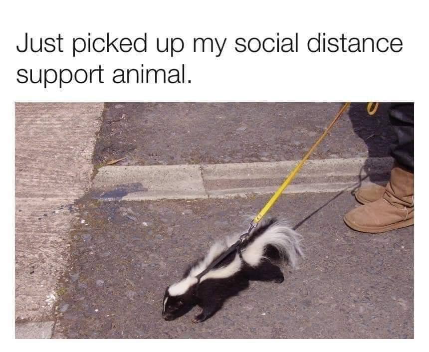 Social distance support animal.jpg