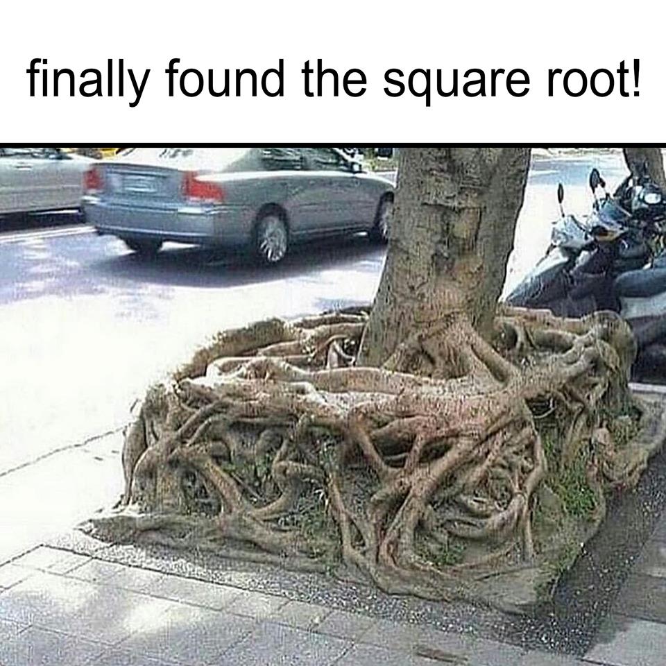 Square root.jpg