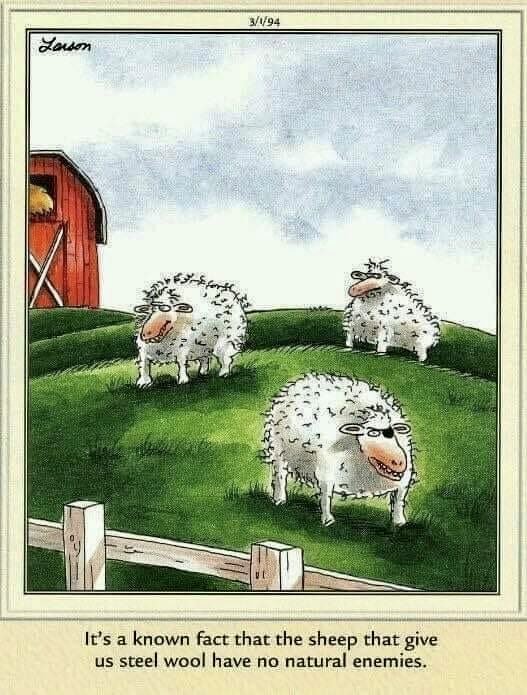 Steel wool sheep.jpg
