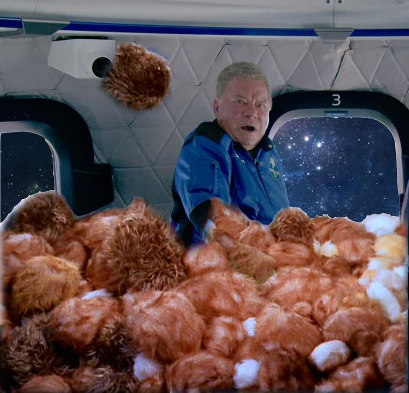 Tribbles.jpg