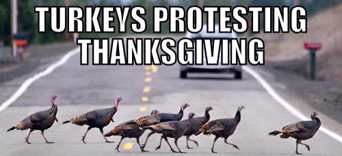 Turkeys protest.jpg