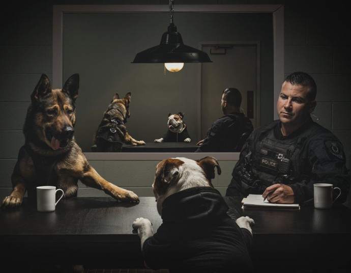 vancouver-police-department-released-their-2019-dog-calendar-and-it-s-pawsome-10.jpg