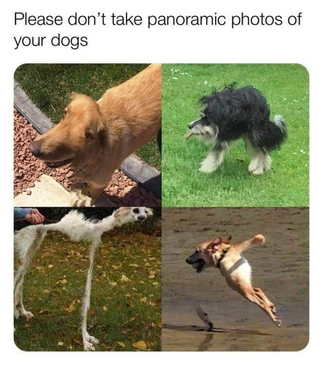 vPLu24H.jpg