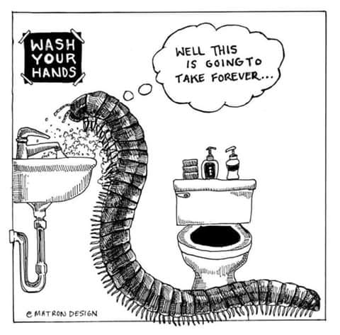 Wash all hands.jpg