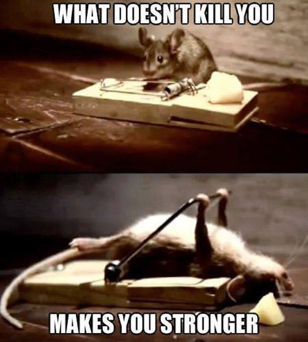 What doesnt kill you.jpg