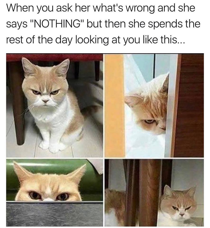 Whats wrong.jpg