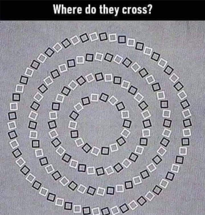 Where do they cross.jpg