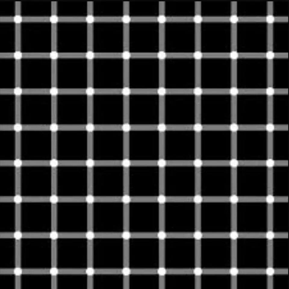 White or black.jpg