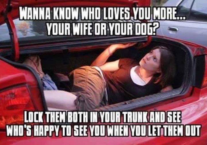 Wife or dog.jpg