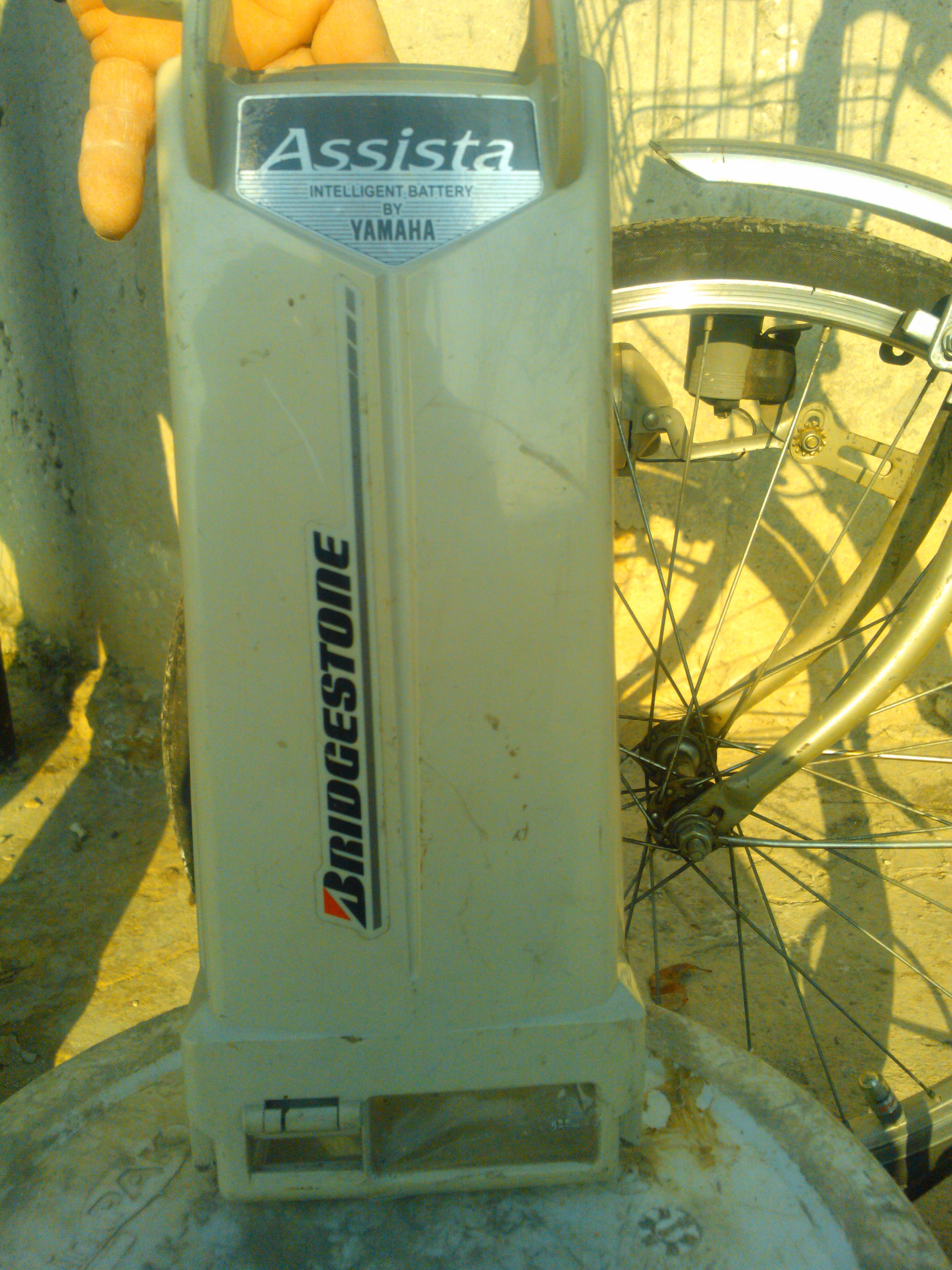 WP_000866.jpg