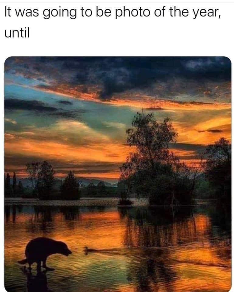 ySbX0WU.jpg