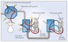 how-to-wire-3-way-switch-2.jpg