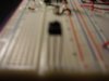 PB290002.JPG